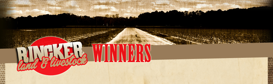 Rincker Southdowns | Rincker Land & Livestock