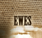Ewes