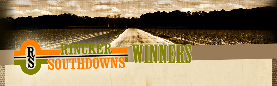 Rincker Southdowns | Rincker Land & Livestock