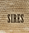 Sires