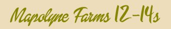 Mapolyne Farms 12-14s